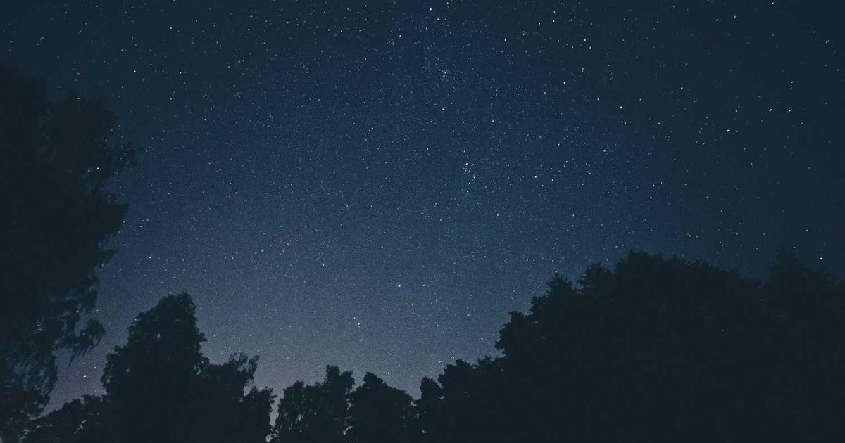 2026: The CEO's Playbook for Dominating the Gambling Industry's Next Evolution