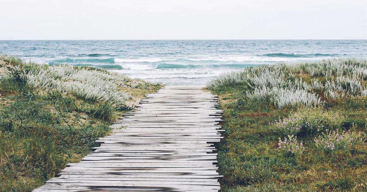 Virginia Sports Betting Shatters Records with Staggering November Revenue