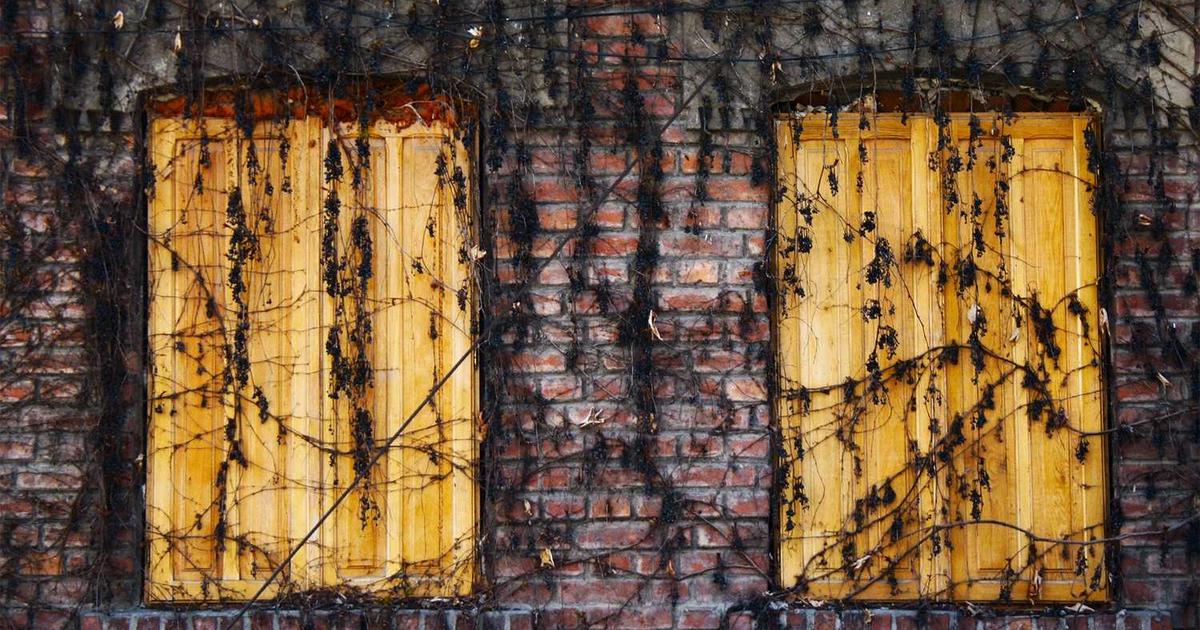 Unlock the Jackpot: Your Ultimate Guide to Winning at Online Casinos