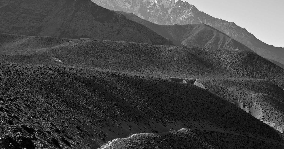 Super Group Soars: 22% Revenue Jump Fueled by African Expansion and Botswana Debut