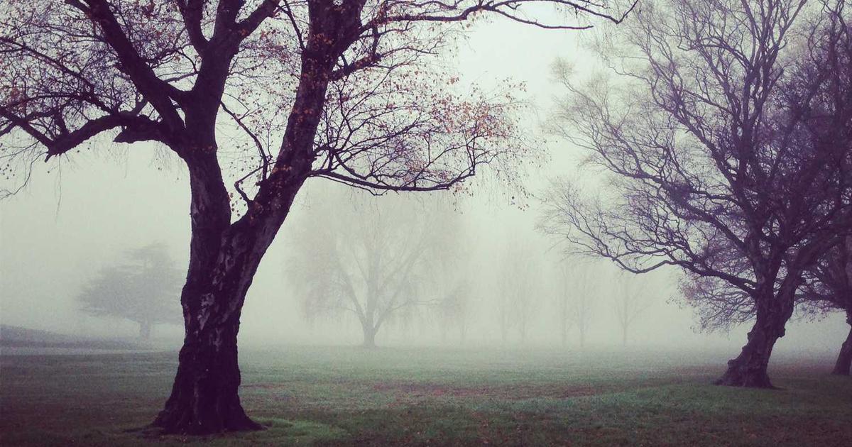 Chen Zhi's Downfall: Inside the Arrest of the Prince Group Boss and His Cambodian Scam Empire