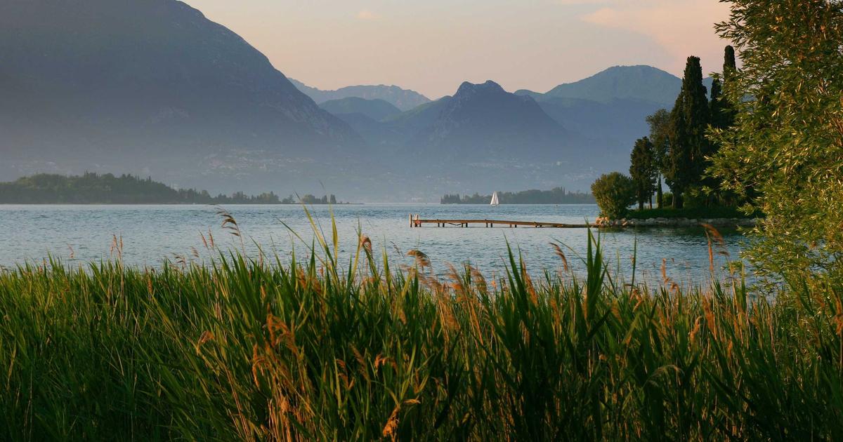 Michigan's Online Gambling Revenue Soars in January, Defying Sports Betting Slump