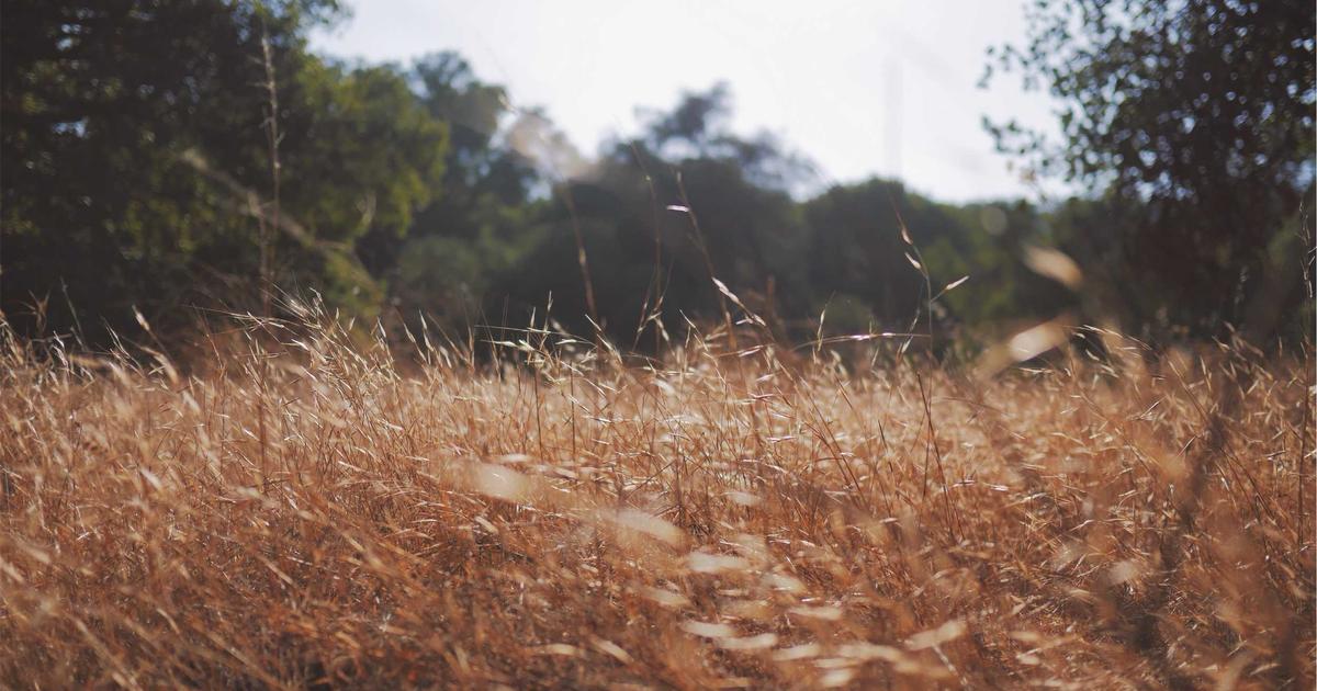 ATG CEO Steps Down as Company Faces Fiscal Year 2025 Challenges