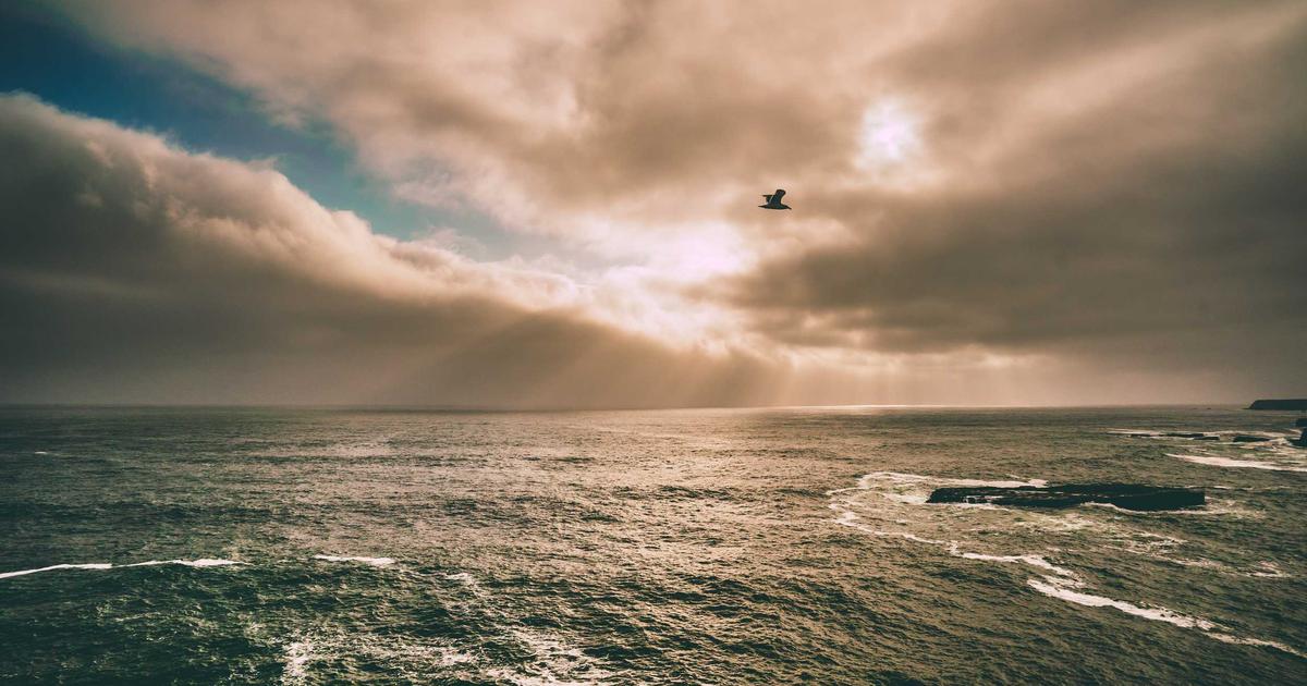 Brazil Moves to Ban Gambling Ads: What It Means for Marketers and Players