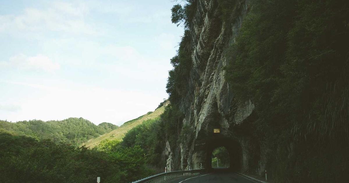 UK Horserace Betting Levy Board Appoints Veterinary Ethics Expert to Strengthen Animal Welfare