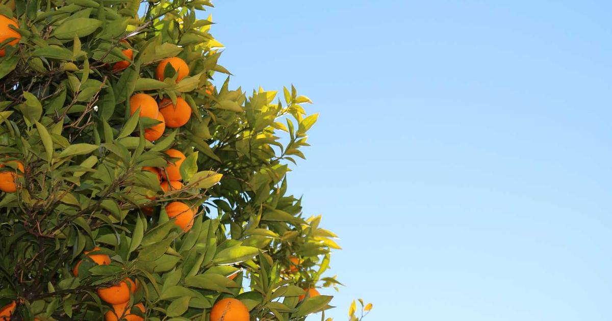 Las Vegas Economy in 2026: Why Shaky Job Data Signals Uncertainty Ahead