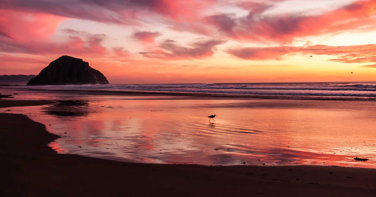 Nevada's Gaming Crossroads: How Mike Dreitzer is Steering the NGCB into a New Era